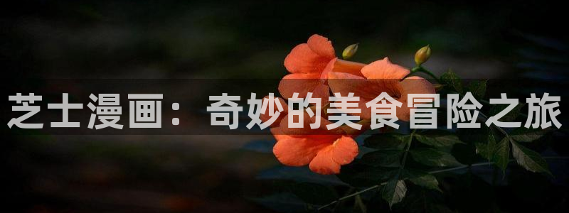 贝勒漫画免费观看全部