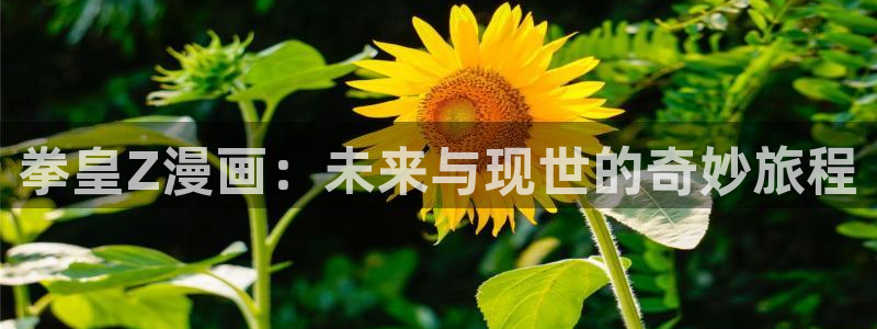 贝勒漫画下拉式免费阅读