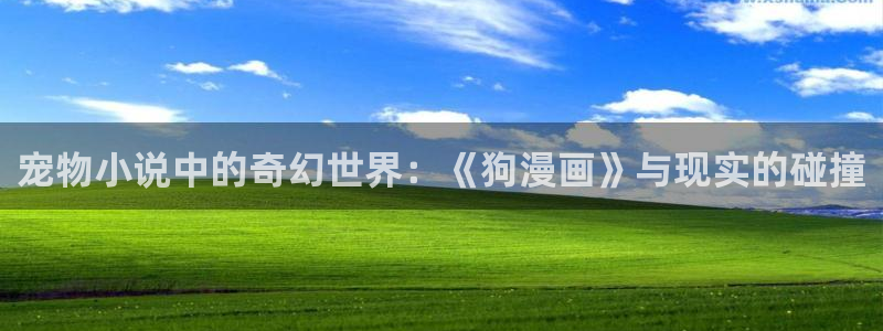 贝勒漫画全部