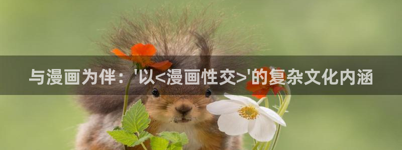 漫画搜索贝勒漫画：与漫画为伴：\'以<漫画性交>\'的复杂文化内涵