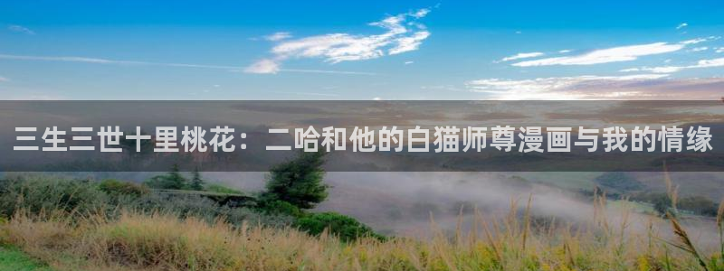 贝勒漫画官网入口：三生三世十里桃花：二哈和他的白猫师尊漫画与我的情缘