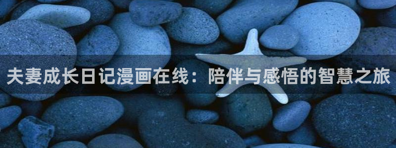 全部贝勒漫画免费观看：夫妻成长日记漫画在线：陪伴与感悟的智慧之旅