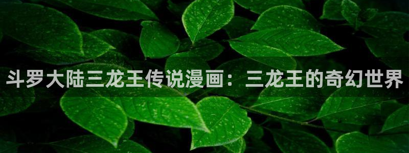 巨人族的花嫁贝勒漫画：斗罗大陆三龙王传说漫画：三龙王的奇幻世界