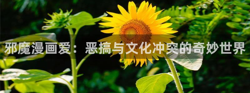 剑与花漫画免费观看贝勒漫画网：邪魔漫画爱：恶搞与文化冲突的奇妙世界