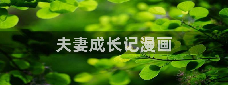 魔王之塔贝勒漫画：夫妻成长记漫画