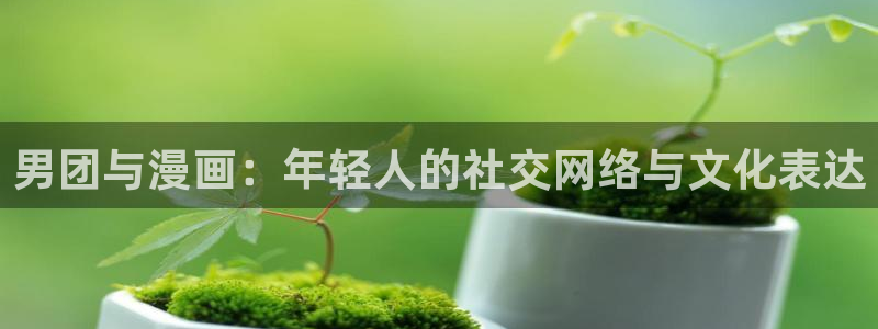贝勒漫画魔咒：男团与漫画：年轻人的社交网络与文化表达