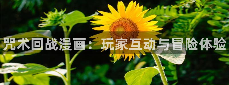 贝勒漫画app：咒术回战漫画：玩家互动与冒险体验