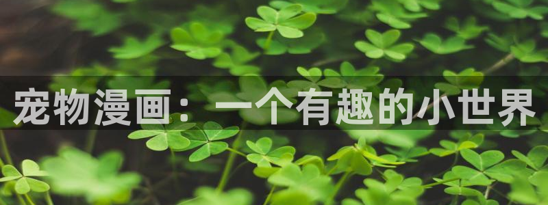 剑与花漫画免费观看贝勒漫画网：宠物漫画：一个有趣的小世界