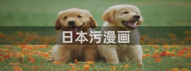 贝勒漫画在线观看贝勒