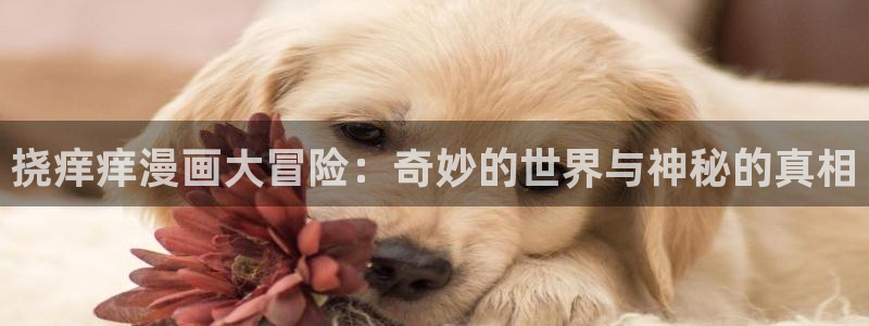 贝勒漫画在线阅读免费：挠痒痒漫画大冒险：奇妙的世界与神秘的真相